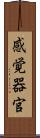 感覚器官 Scroll