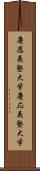 慶應義塾大学 Scroll