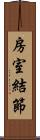 房室結節 Scroll