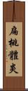 扁桃體炎 Scroll