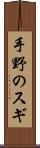 手野のスギ Scroll