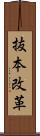 抜本改革 Scroll