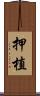 押植 Scroll