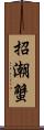 招潮蟹 Scroll