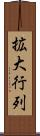 拡大行列 Scroll