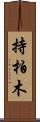 持柏木 Scroll