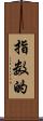 指数的 Scroll
