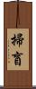 掃盲 Scroll