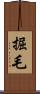 掘毛 Scroll