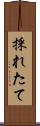 採れたて Scroll