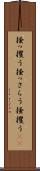 掻っ攫う Scroll