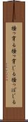 掻っ穿る Scroll