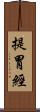 提胃經 Scroll