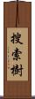 搜索樹 Scroll