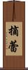摘蕾 Scroll