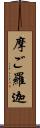 摩ご羅迦 Scroll