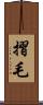 摺毛 Scroll