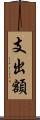 支出額 Scroll