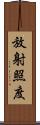 放射照度 Scroll