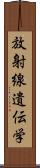 放射線遺伝学 Scroll