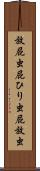 放屁虫 Scroll