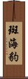 斑海豹 Scroll