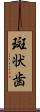 斑状歯 Scroll