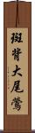 斑背大尾鶯 Scroll