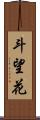 斗望花 Scroll