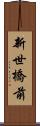 新世橋前 Scroll