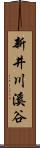 新井川溪谷 Scroll