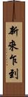 新來乍到 Scroll