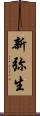 新弥生 Scroll
