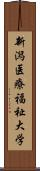 新潟医療福祉大学 Scroll