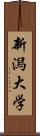 新潟大学 Scroll