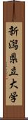 新潟県立大学 Scroll