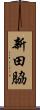 新田脇 Scroll