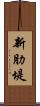 新肋堤 Scroll
