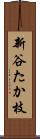 新谷たか枝 Scroll