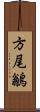 方尾鶲 Scroll