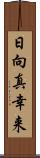 日向真幸来 Scroll