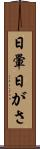 日暈 Scroll