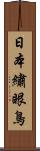 日本繡眼鳥 Scroll