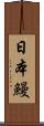 日本鰻 Scroll