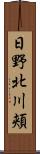 日野北川頬 Scroll