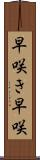 早咲き Scroll
