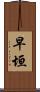 早垣 Scroll