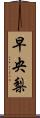 早央梨 Scroll