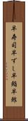 早寿司 Scroll