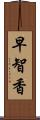 早智香 Scroll